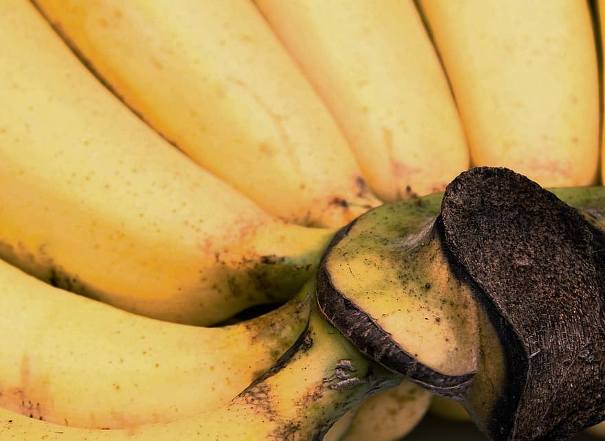 фон, банан, резать, рацион питания, питание, свежий, фрукты, зеленый, здоровье, здоровый, лист