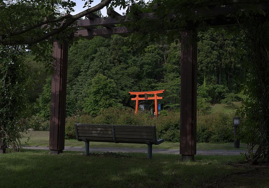bangku, taman, Jepang, taman jepang, pohon, di luar rumah, alam, torii, kuil, kayu, warna hijau