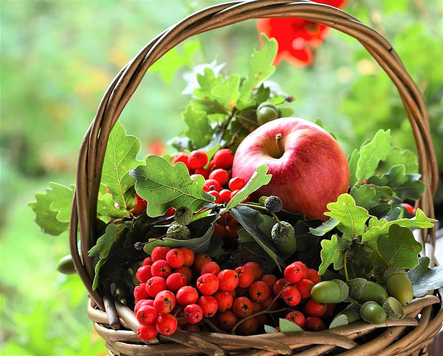 Früchte, Beeren, Früchtekorb, Korb, roter Apfel, Korb voller Früchte, Korb mit gemischten Früchten, Ernte, produzieren, organisch, frische Früchte