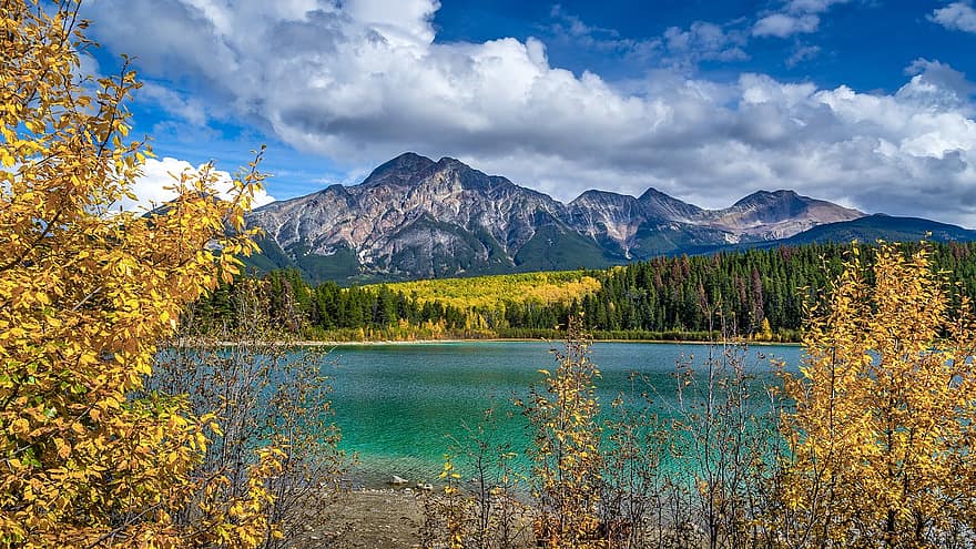 Lake, Trees, Forest, Bush, Grass, Bank, Clouds, National Park, Canada, Jasper, Rocky Mountain