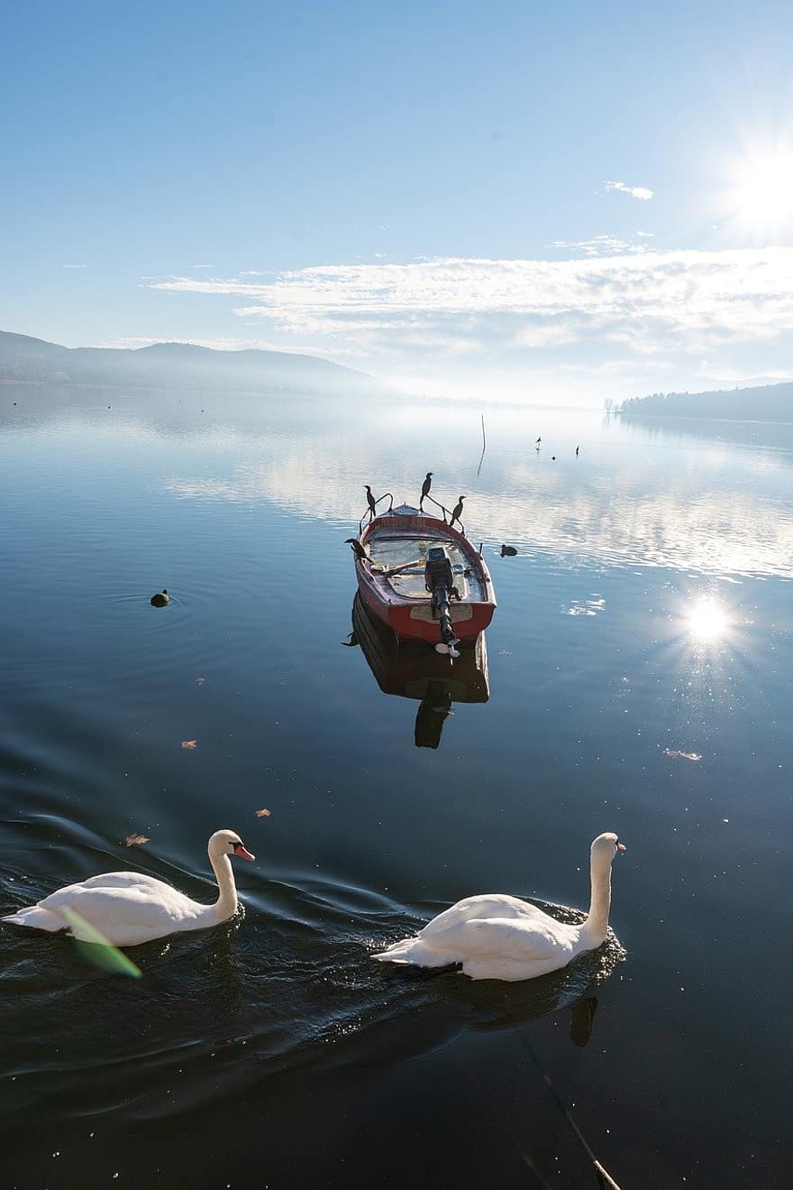 bateau, Lac, des cygnes, des oiseaux, Montagne, eau, la nature, hiver, du froid, Kastoria, été