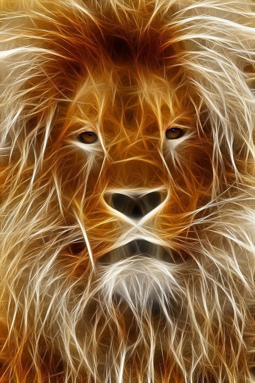 Lion, l'édition d'image, graphique, programme, photoshop, Fraktalius, mâle, bouche, portrait, safari