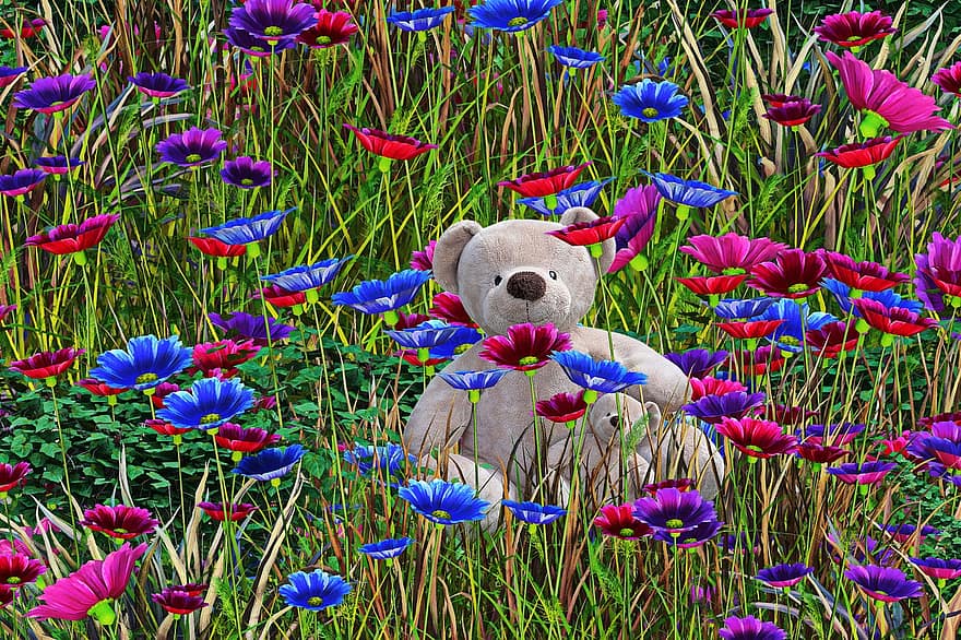 berbunga-bunga, musim semi, bunga-bunga, penuh warna, flora, maju, Latar Belakang, taman, romantis, boneka beruang