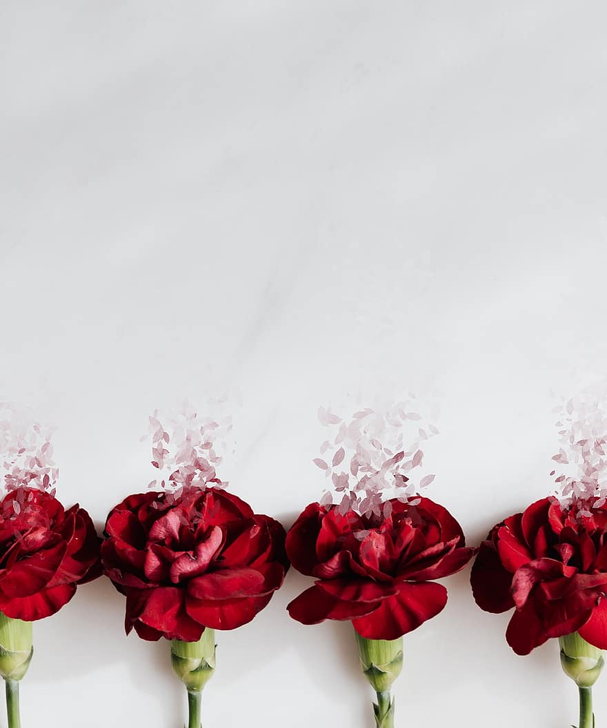 バラ、分散、赤い花、赤いバラ、フローラ