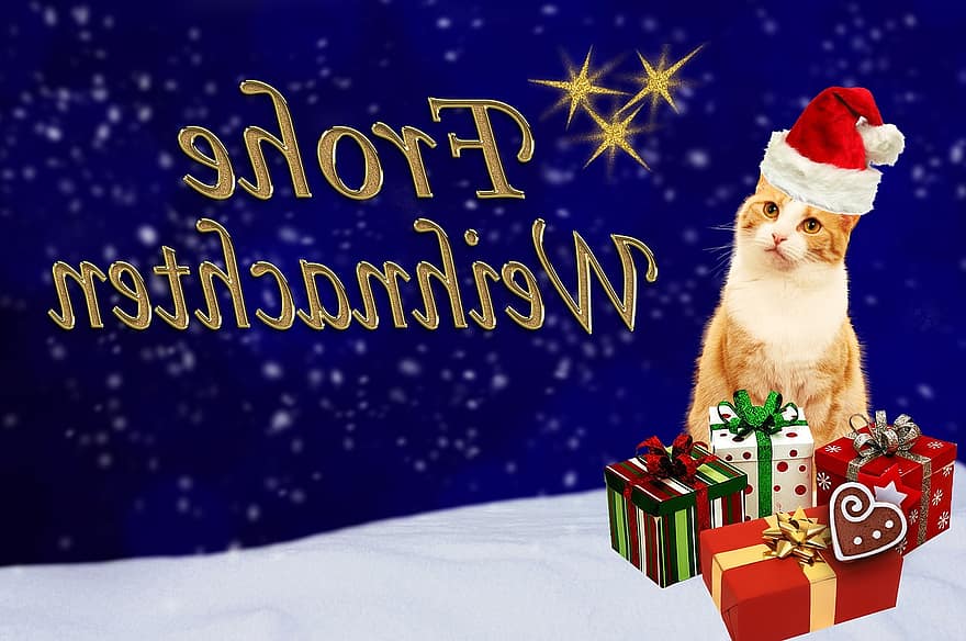 Χριστουγεννιάτικη κάρτα, Γάτα, καλά Χριστούγεννα, δώρα, ευχετήρια κάρτα, μπλε, το κόκκινο, χρυσός, εορταστικός, Χριστουγεννιάτικο μοτίβο, Χριστούγεννα
