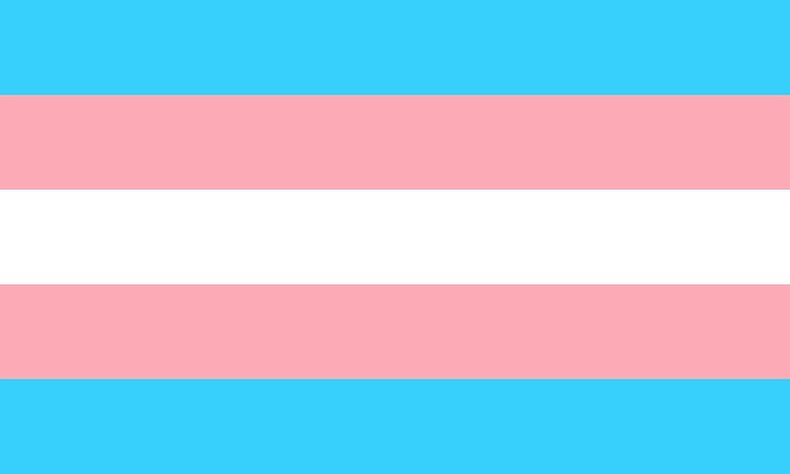 トランス、トランスジェンダー、旗