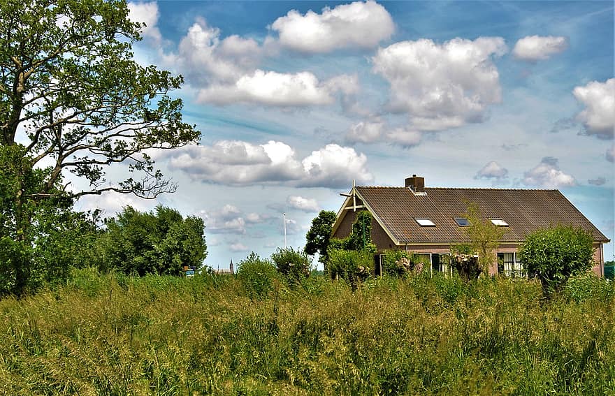 dom, trawa, gospodarstwo rolne, dom wiejski, Chata, kabina, łąka, trawiasty, drzewa, Holandia, Wieś