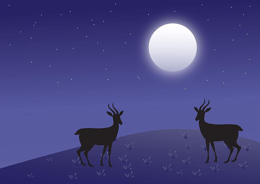 Deer, Buck, Hills, Moon, Wildlife, Forest, Animal, Night, Wild