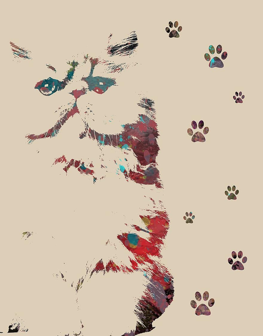 Animal Art, Cat Print, Feline, Paw Prints