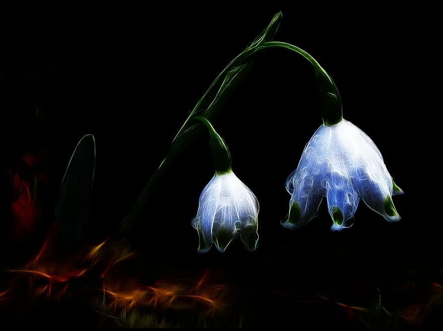 Fractalius, fiocco di neve, fioritura precoce, frühlingsblüher, fiore bianco, bianca, maigloeckchen, grandi bucaneve, amaryllidaceae, pianta, astratto