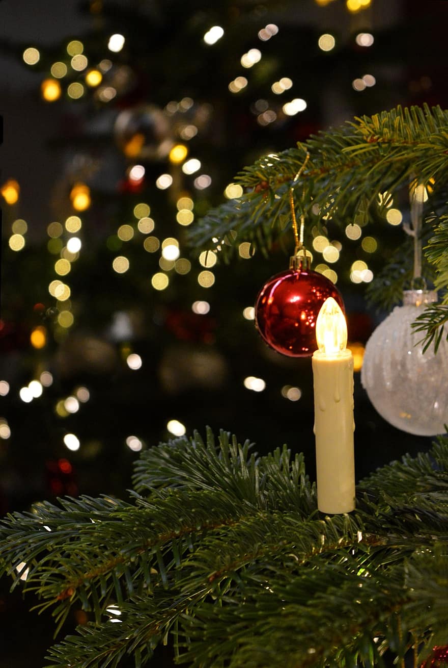 hari Natal, pohon Natal, lilin, meriah, lampu