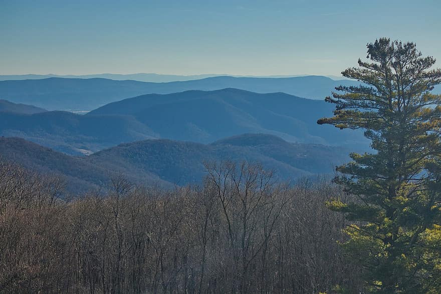 pohoří, stromy, krajina, hory, hornatý, horské krajiny, Příroda, blue ridge mountains, shenandoah, Virginie, Stanley Virginie