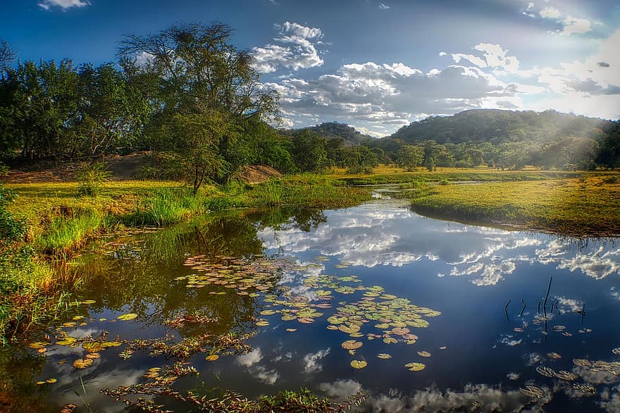 Pond, Field, Mountains, Trees, Meadow, Lily Pads, Bach, River, Water, Aquatic Plants, Mirroring