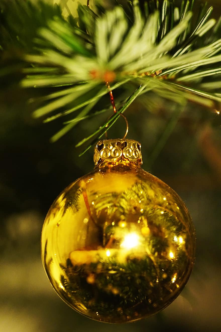 Winter, Weihnachten, Gold, Kugel, Glaskugel, Advent, Beleuchtung, kuscheln, Zuhause, gemütlich, Weihnachtsbaum