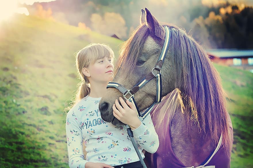 Horse, Pony, Girl, Child, Mare, Young, People, Riding Pony, German Riding Pony, Animal, Mammal