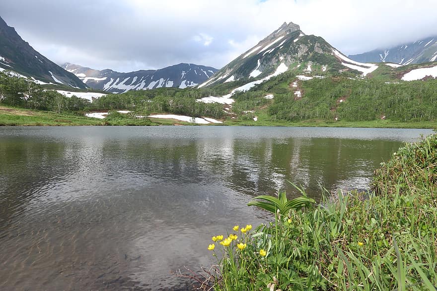 Summer, Mountains, Lake, Flowers, Forest, Snow, The Snow