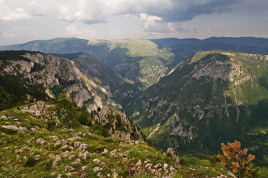 natura, viaggio, esplorazione, all'aperto, montenegro, Zabljak, Curevac, montagne, montagna, estate, colore verde