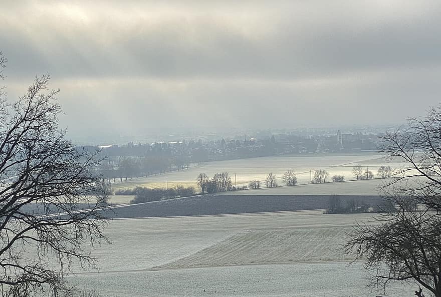 Allgäu, vinter, landskab, lys, bayern, Tyskland, træ, landlige scene, sne, sæson, gård