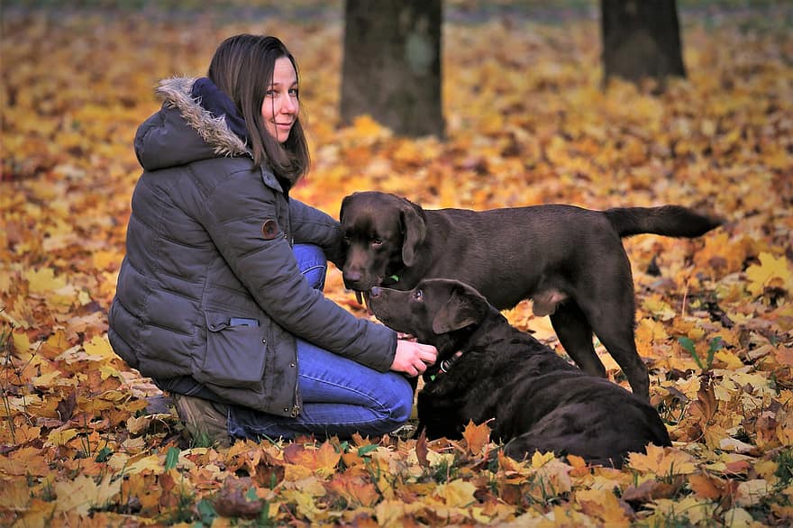 треньор на кучета, Жена с кучета, есен, парк, природа, домашни любимци, кучета