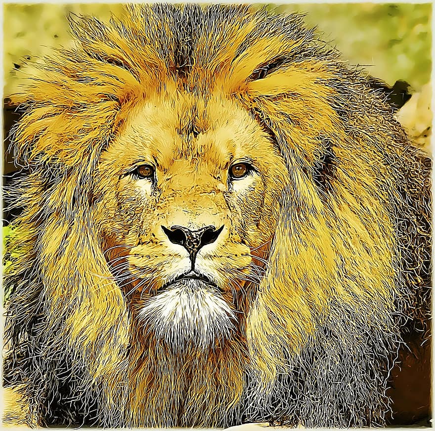 Lew, lwica, dzikiej przyrody, Łowca, zwierzę, ogród zoologiczny, Amsterdam, Holandia, drapieżnik, głowa, portret