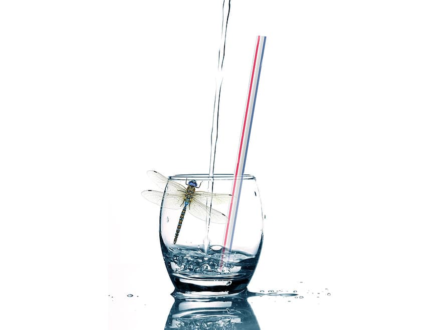 Glassware, Drink, Dragonfly, Straw, Glass, Pour, Water, Alcohol, Cocktail, Beverage, Isolated