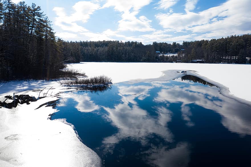 talvi-, järvi, maisema, näkymä, puu, jää, lumi, vesi, valkoinen, sininen, luonto