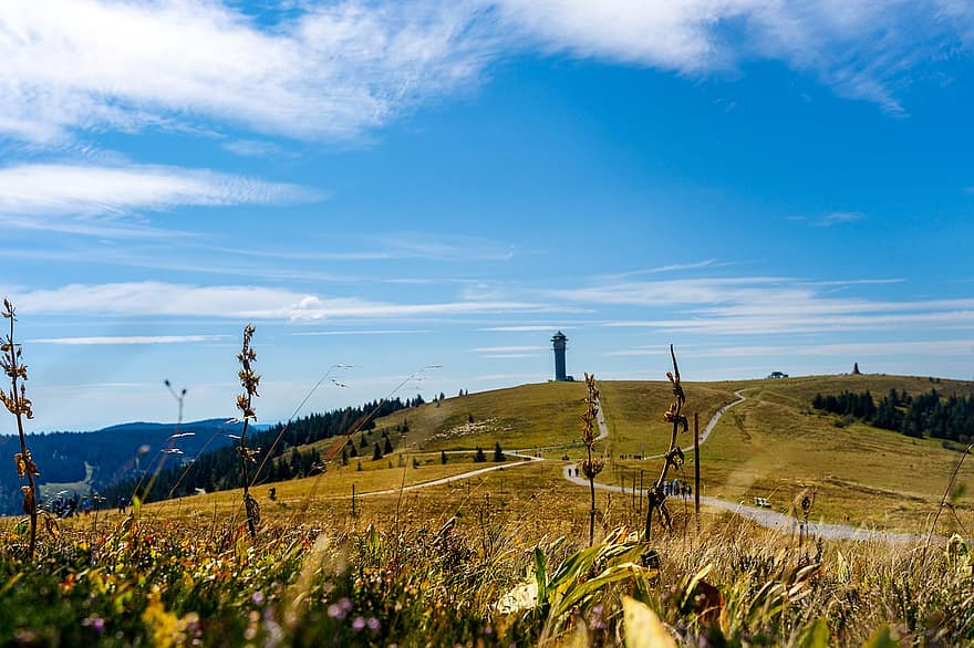 feldberg, berg-, landschap, toren, Feldbergtoren, weg, trails, veld-, platteland, zwarte Woud, Duitsland