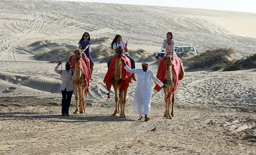 camelos, deserto, safári, Sealine Qatar, panorama, turismo, Catar, Equitação no Deserto, homens, areia, culturas