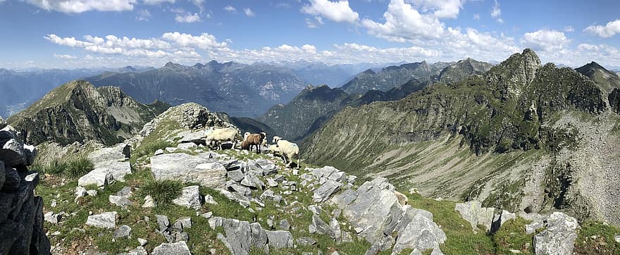 W kierunku szczytu człowieka, Panorama ze szczytu trawy, trasa alpejska, Alpy, spacerować, niebo, najfatalniejszy, wycieczki, wędrówki, góry, Natura