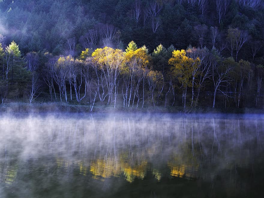 mist, meer, bomen, herfst, mistig, nevel, nevelig, bossen, Bos, water reflectie, mirroring