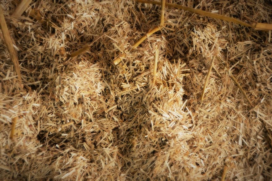 Straw, Agriculture, Hay, Cattle Feed