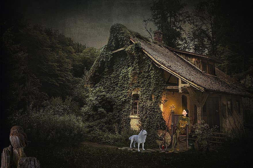 жилой дом, волк, сова, лес, женщина, гора, фантастика, собака, сельская сцена, дерево, ночь
