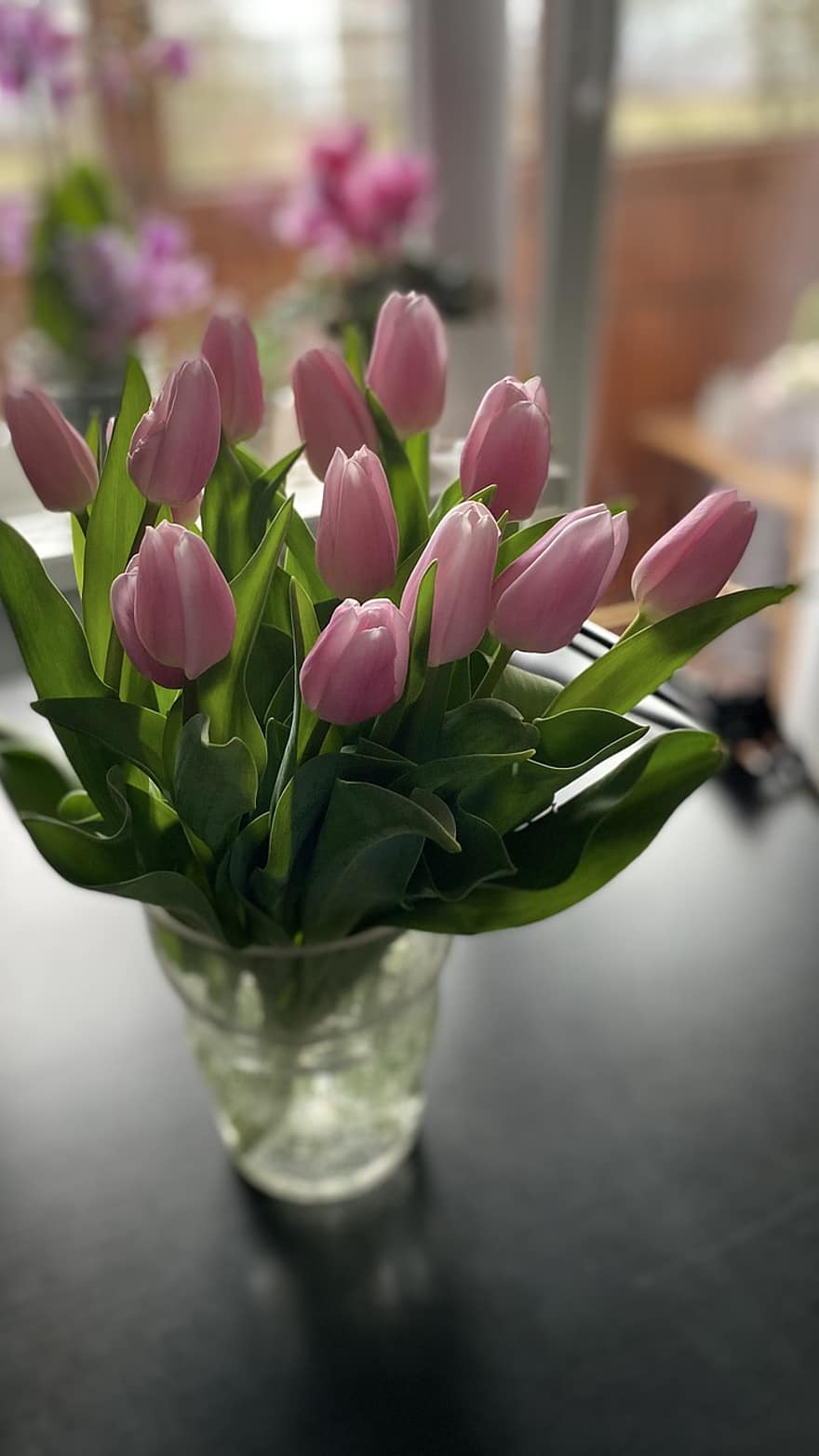 fiori, tulipani, mazzo, pianta, vaso, primavera, umore, botanica, fioritura, tulipano, fiore