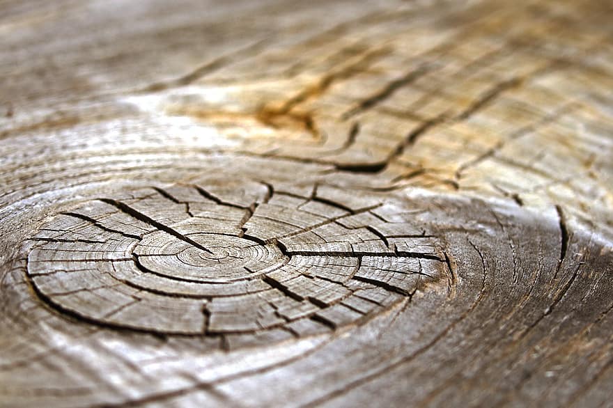 Wood, Structure, Texture, Tree, Background, Pattern, Surface, Grain, Annual Rings, Log, Nature