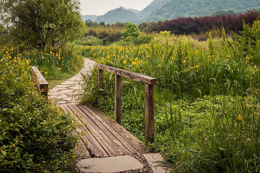 China, prado, Guizhou, camino, paisaje, puente de madera, madera, verano, hierba, escena rural, flor