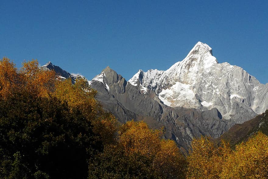 Mount Siguniang, hegyek, fák, csúcs, csúcstalálkozó, hófedte, hegység, erdő, tájkép, Látvány, színpadi