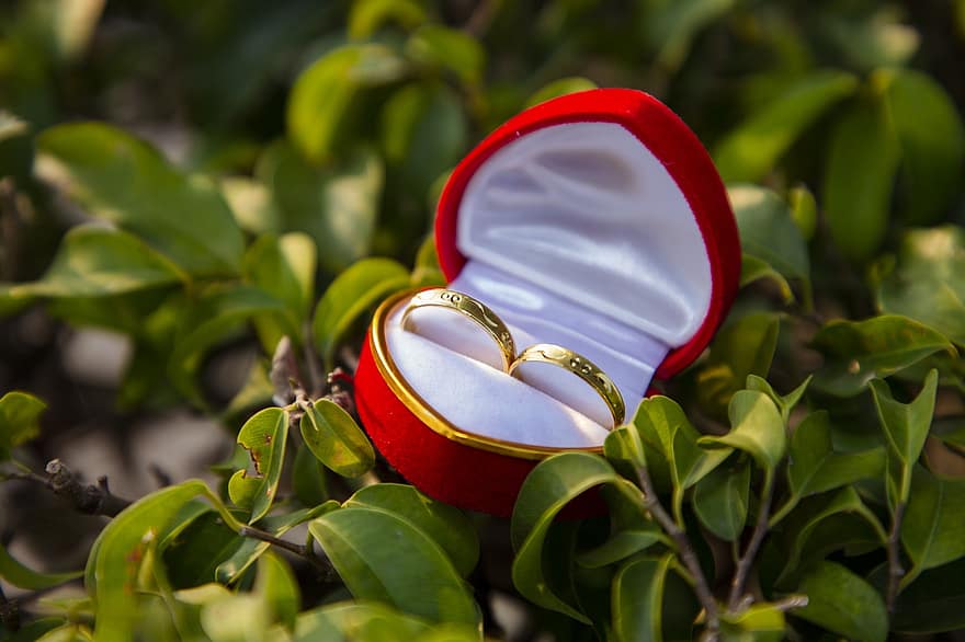 ringen, verloving, belofte, liefde, ring box