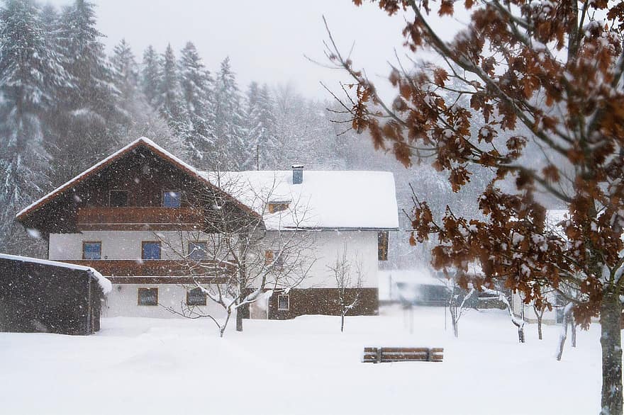 冬、雪、バイエルン、森林、自然、家、風景