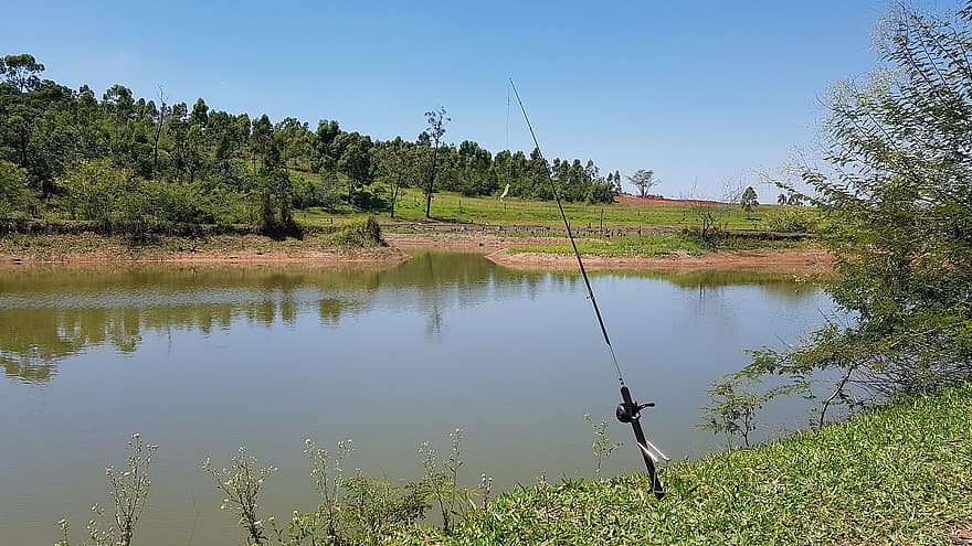 Lake, Fishing, Fishing Rod, Fishing Reel, Fish, Water