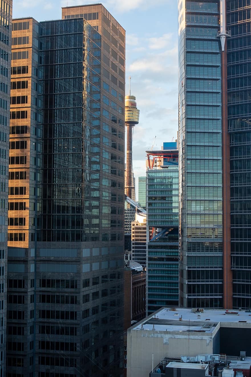 シドニー、シティ、スカイライン、高層ビル、街並み、建物、事務所、建築、都市