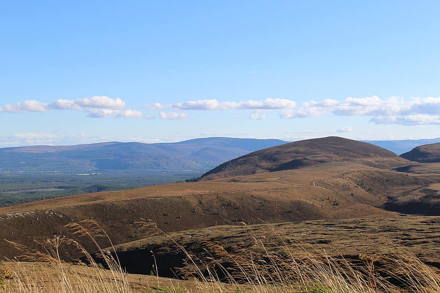 Montagne, hauts plateaux, herbe, les plantes, en plein air, cairngorms, Écosse