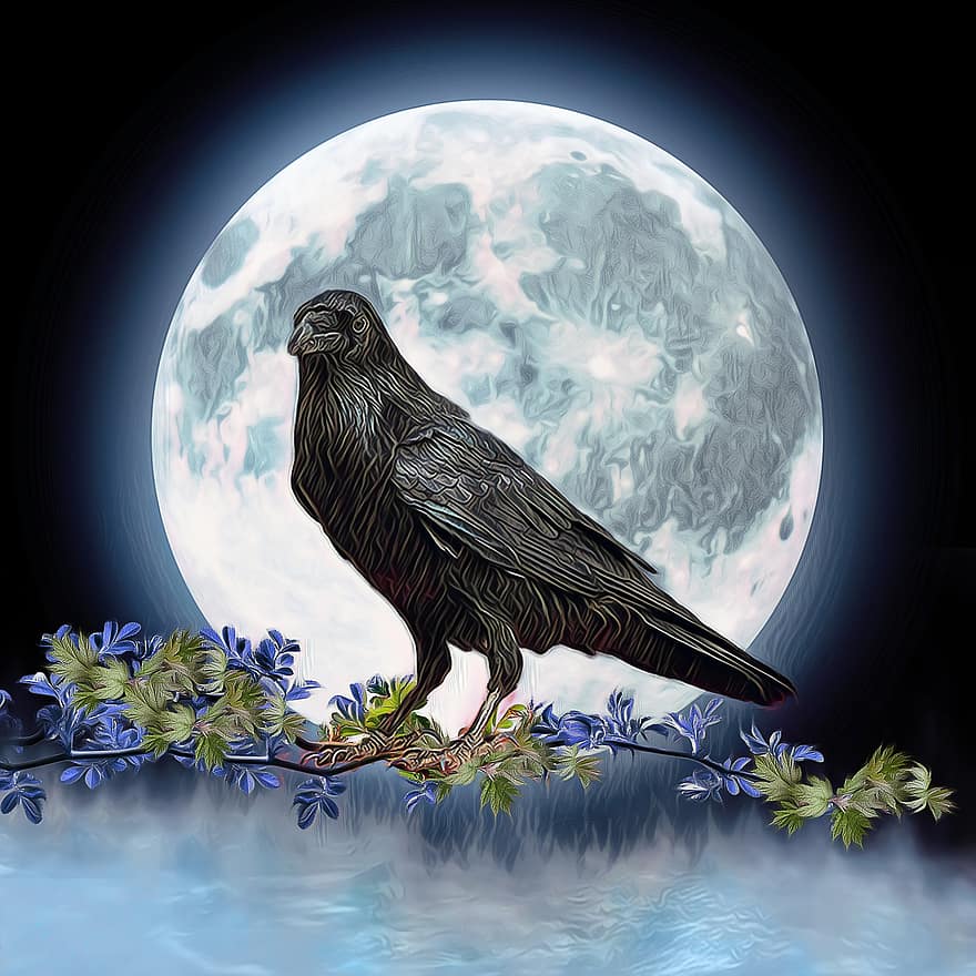 fondo, Luna llena, noche, cuervo, rama, pájaro, lunar, arte digital, ilustraciones digitales, pájaro negro, místico