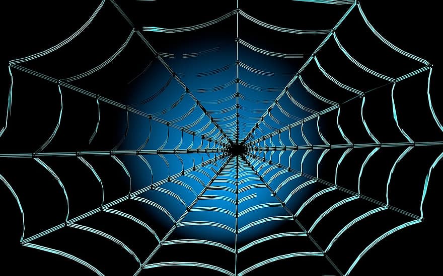 le web, araignée, la nature, Cas, réseaux tendus, noir
