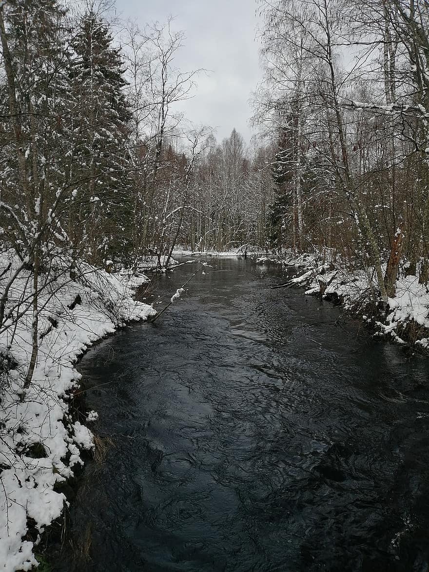 nieve, bosque, río, cañón, nevada, Rusia, Karelia, Petrozavodsk