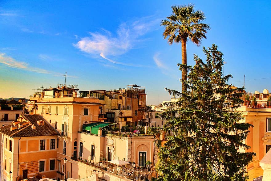 Budynki, palmy, architektura, Rzym, Włochy, lato, wakacje, Europa, drzewo, pejzaż miejski, kultury