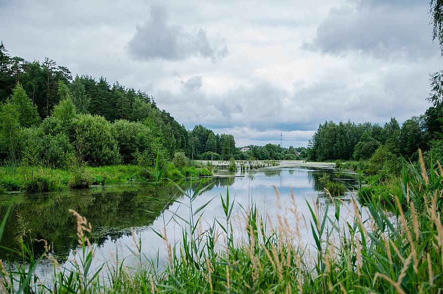 Foto, Teich, See, Fluss, Natur