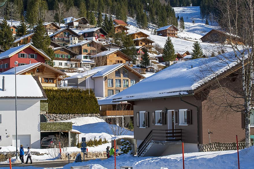 Zwitserland, winter, Brunni kanton Schwyz, boom, huizen, sneeuw, hemel, natuur, berg-, huisje, chalet