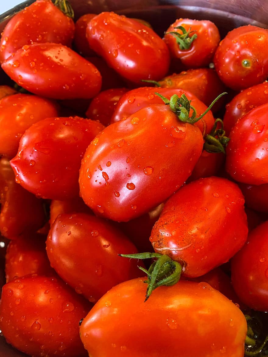 tomates, colheita, saudável, produzir, orgânico, legumes