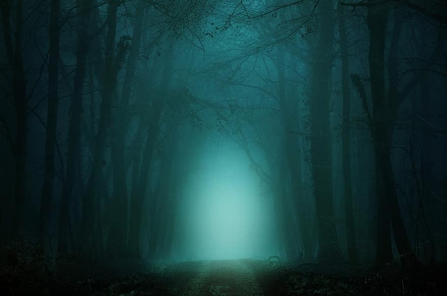 森林、離れて、霧、木、雰囲気、不思議な、パス、ダーク、神秘的な、魔法、バックグラウンド