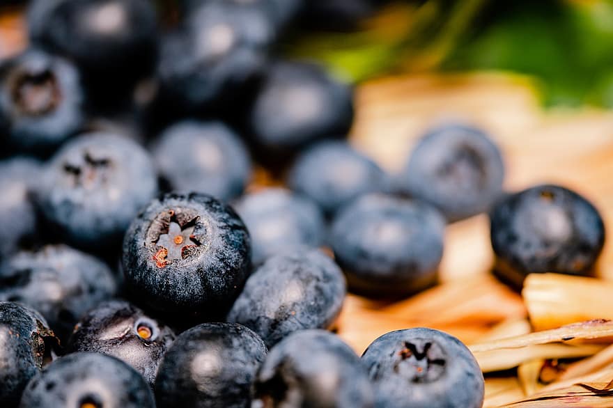 블루 베리, 열매, 과일, 건강한, 식품, 신선한, 영양물 섭취, 단